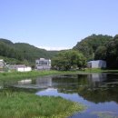 운대1리 이미지