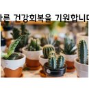 하이코코이비인후과의원 이미지