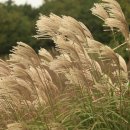 그린목장 이미지