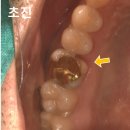 서울바정치과의원 이미지