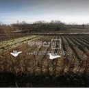 New탑부동산공인중개사사무소 이미지