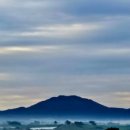 산안개 농장 이미지