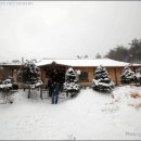 들꽃피는언덕 이미지