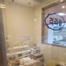 충남 홍성 공공산후조리원 | 2025년 7월 출산, 홍성공공산후조리원 이용 후기