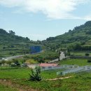 자연부동산공인중개사사무소 이미지