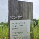 장안여관 - 동구 중앙대로260번길 3-9 | 시인 정초부 생애와 헌시
