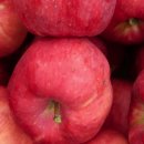 은영가족농장 이미지