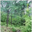 삼마치2리-01 이미지