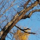 오늘은봄날 이미지