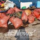 대한민국특수임무유공자회제주특별자치도지부 이미지