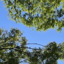 청소년하브루타 교육(5-6학년) | 방송대 청소년교육복지상담학과 3학년 25년도 2학기 편입 한학기 다녀본 후기