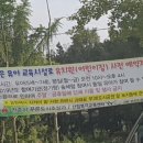 인후공원 유아숲체험원 이미지