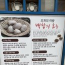 전북 부안 변산 격포항 백합조개 맛집 ㅣ군산식당 후기