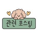 까끼토끼놀이터