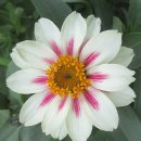 죠티 요가(Jyoti Yoga) | 죠티샤, 운명 그리고 시간의 수레바퀴 (상)