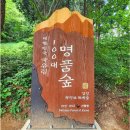 (마감)추석연휴10월8일-11일(3박4일) 남도(전남+경남)여행 with 순천자연휴양림 3박 이미지