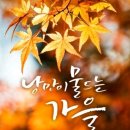 혜안