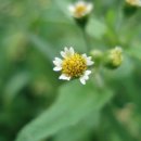 아침에풍경 이미지