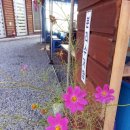 강가에 하얀집 펜션 이미지