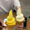 빈도 로스터스 커피 | 먹기ㅣ오산장미면옥ㅣ평택디저트맛집 카페포문ㅣ정지영커피로스터즈ㅣ대한민국대표국수ㅣ동탄양꼬치맛집