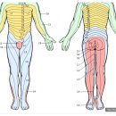 덕원한의원 이미지