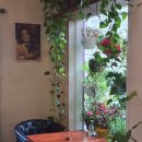 헐리우드비디오방 이미지