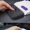 한손팜