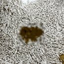 24시 모란동물 메디컬센터 이미지