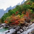 (주)자품