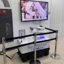 상하연주목장 | 춘천 토이박물관 토이로봇관 후기｜아이 취향 저격 체험 천국, 가성비 최고 코스