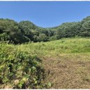 신수연공인중개사사무소 이미지