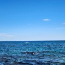 GS25 남애항점 | 강릉 사천진 해수욕장, 스노쿨링 및 샤워장 후기