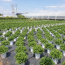 김춘식농장 이미지