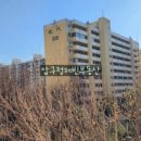 압구정-209 이미지