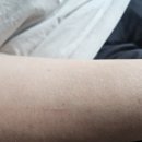 오션블루 | 해양심층수 '딥오션 블루 크림 레이어드 미스트' 후기