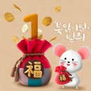 라임에스테틱 이미지