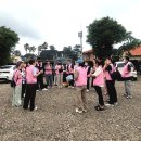 제주냐옹실 고양이미용 이미지