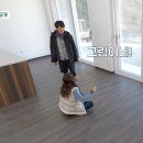 원이하우스