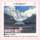 캐나다 아이스필드 파크웨이 애견 동반 후기! 도보 코스, 주차장 위치