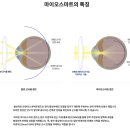 안경이야기율하점 이미지
