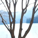 보성주차장 이미지