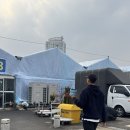 멋진 옷(양재) | 양재화훼단지 나동, 양재꽃시장 크리스마스 화분, 꽃 구매 하기 좋은 계절