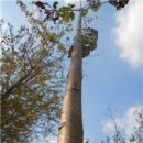 문시중학교 이미지