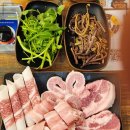 고기가 고기다 이미지