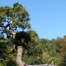 장천재체육공원 이미지