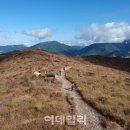 풍경속선물