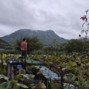 채선농장 이미지