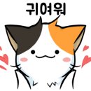 구포동물병원 이미지