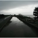 금곡2리 이미지