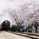 문수한의원 이미지